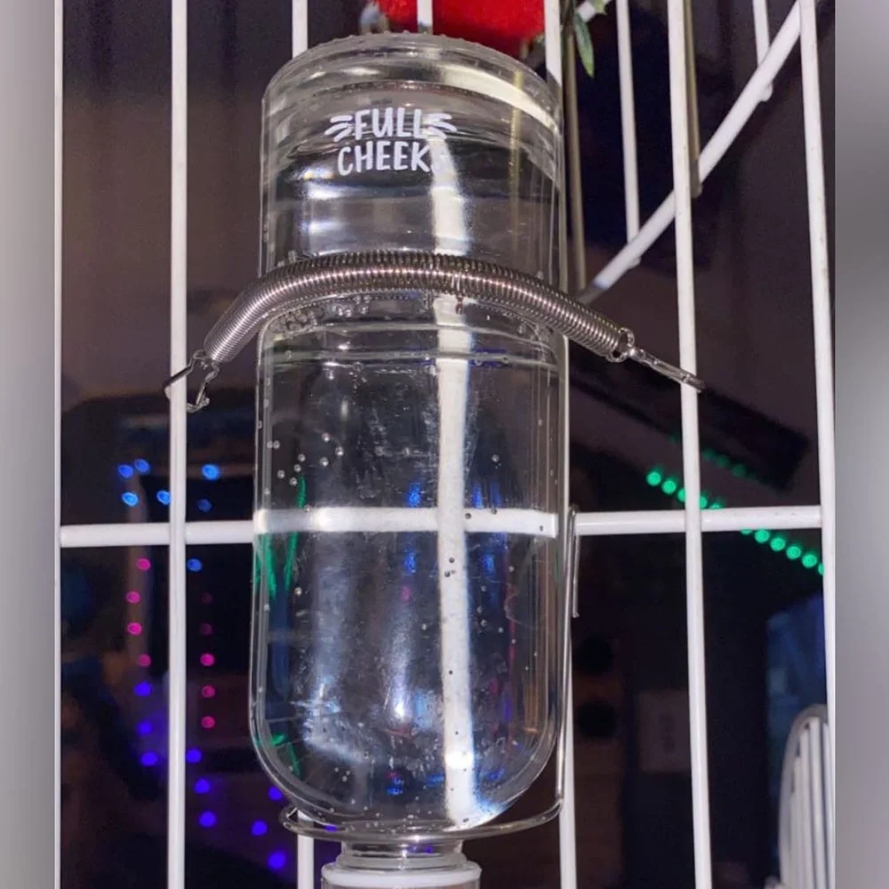 Water bottle feeder